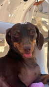 maya.keyy Altpins Profile Picture