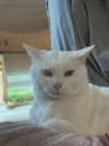auddk_77 Altpins Profile Picture