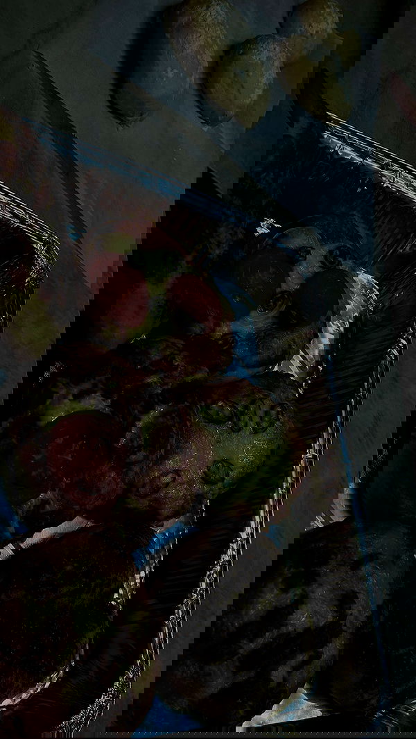 rivkavel rivkavel archive image