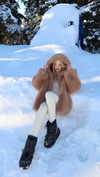 alishenyka Altpins Profile Picture