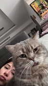 natalllluli Altpins Profile Picture