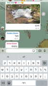 dante_yangpa Altpins Profile Picture