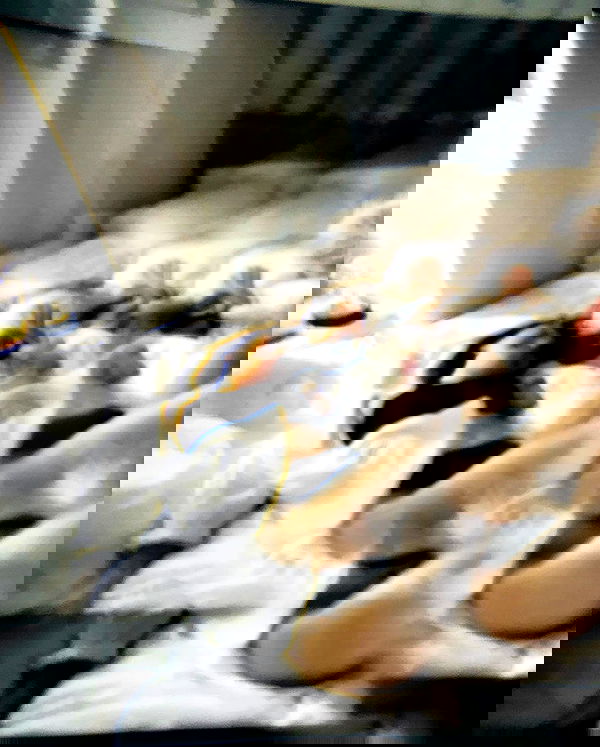 kkulakovaa image ~ Altpins