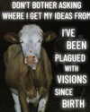 ellaexplicit_ Altpins Profile Picture