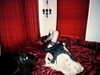 amellliiaa Altpins Profile Picture