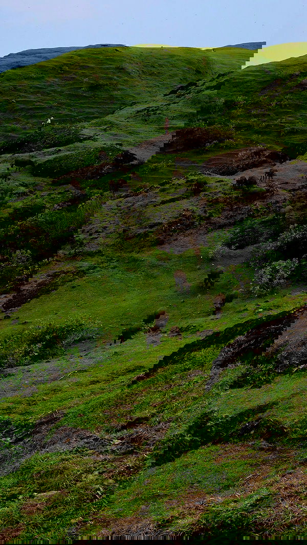 taylor.creeden taylor.creeden archive image