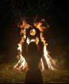 laylafleet1 Altpins Profile Picture