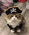 catl0verr69 Altpins Profile Picture