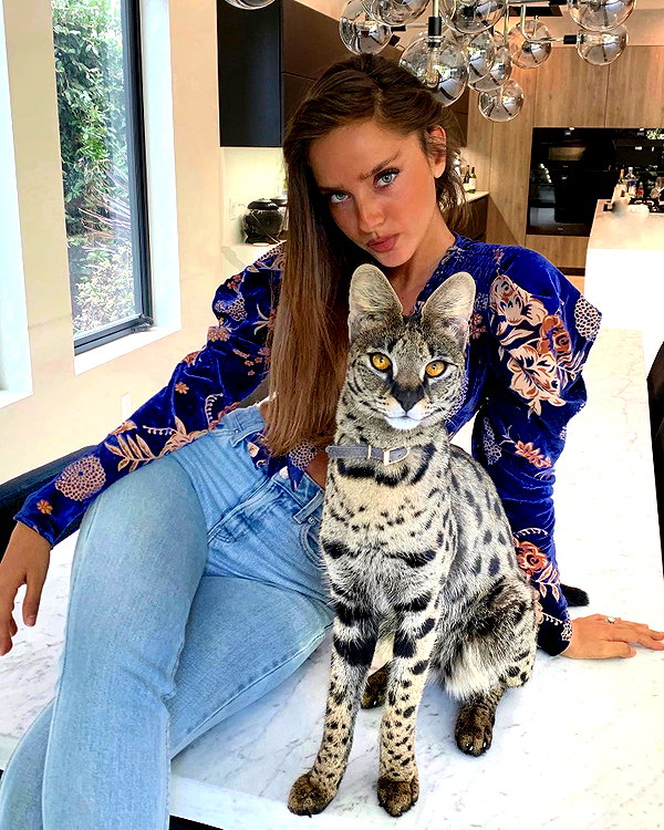 neta_alchimister instagram image archive image