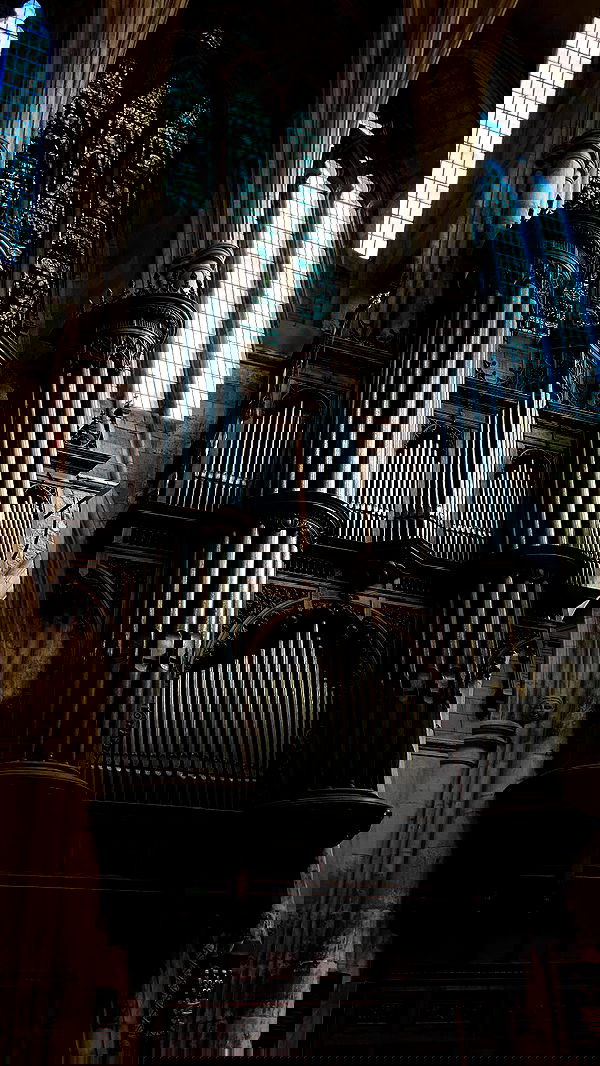 rose_xanne rose_xanne archive image