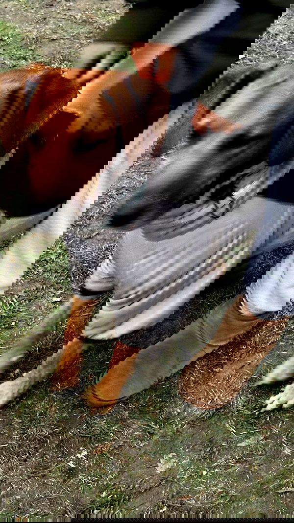 manjolamuriqi manjolamuriqi archive image