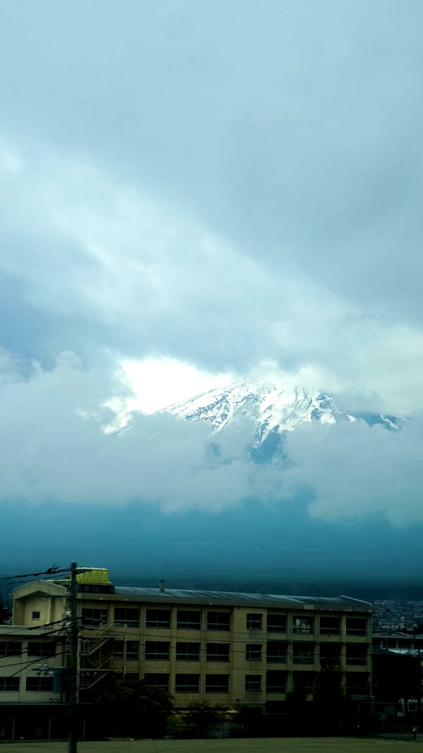 biton__adi instagram image archive image