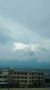 biton__adi Altpins Profile Picture