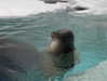 hhh.e_c.v Altpins Profile Picture