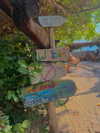 liron_vaitzman Altpins Profile Picture