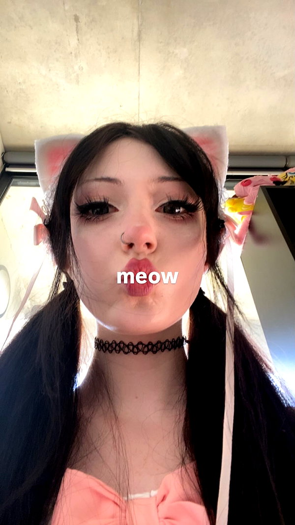meowwmaxxer archive image