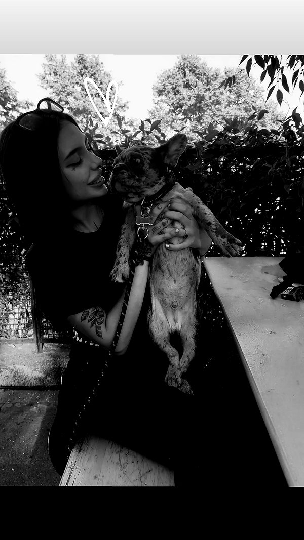 rott3nbambi instagram image archive image