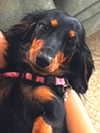 libby_reut Altpins Profile Picture