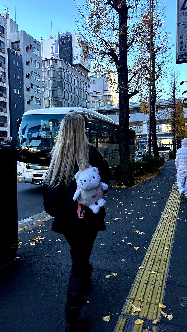 avestanova instagram image archive image