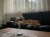 claudiacookgomez Altpins Profile Picture
