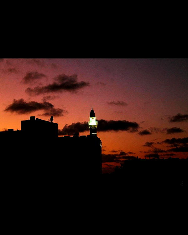 tal.naveh instagram image archive image