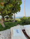 shira_adar_ Altpins Profile Picture