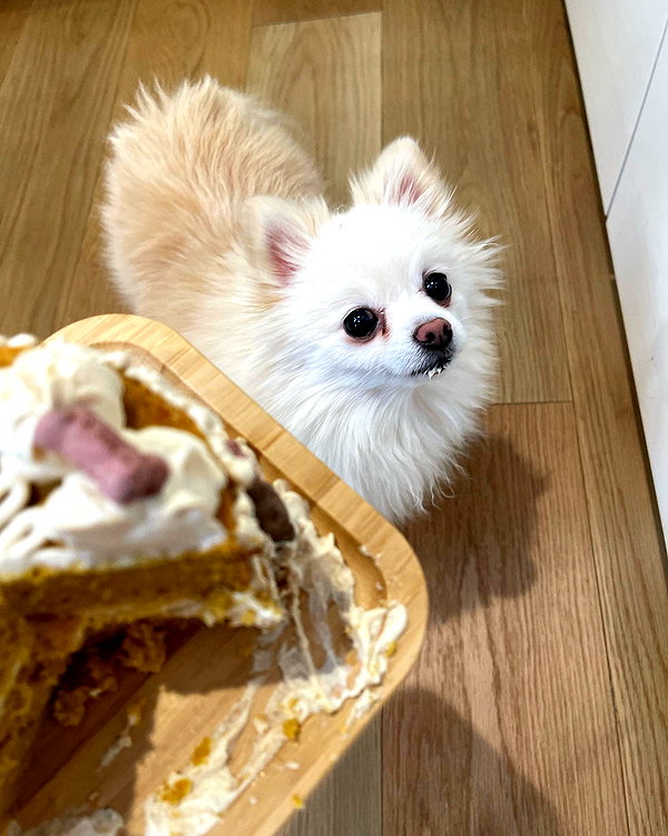 igumdrop instagram image archive image