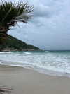 __yaheli_ Altpins Profile Picture