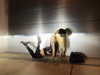 amellliiaa Altpins Profile Picture