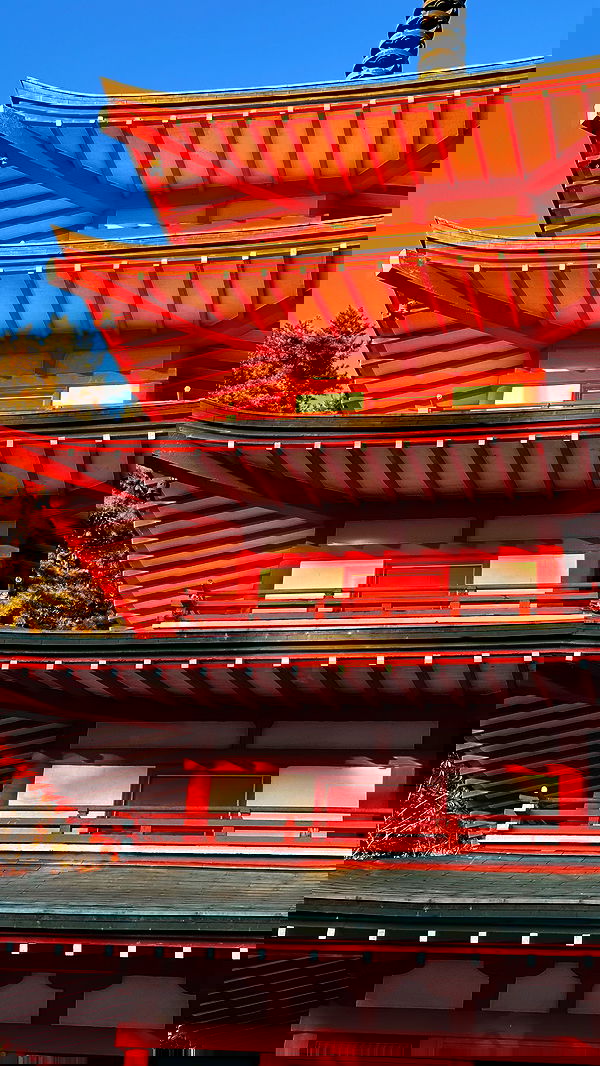 taylor.creeden taylor.creeden archive image