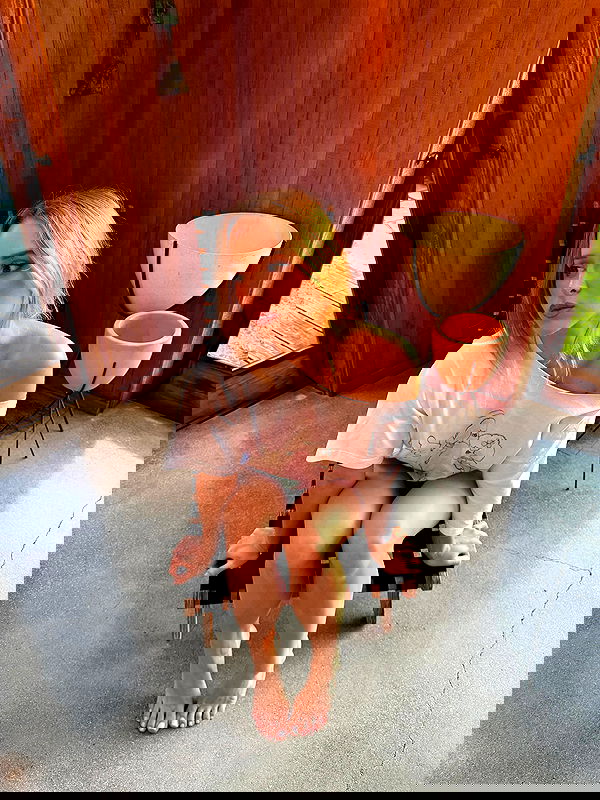 carolinezalog carolinezalog archive image