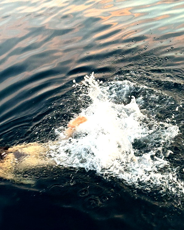 ninastodden instagram image archive image