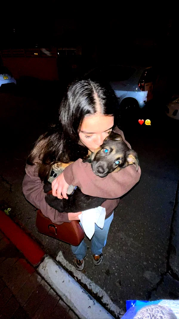 yaelb.resler instagram image archive image