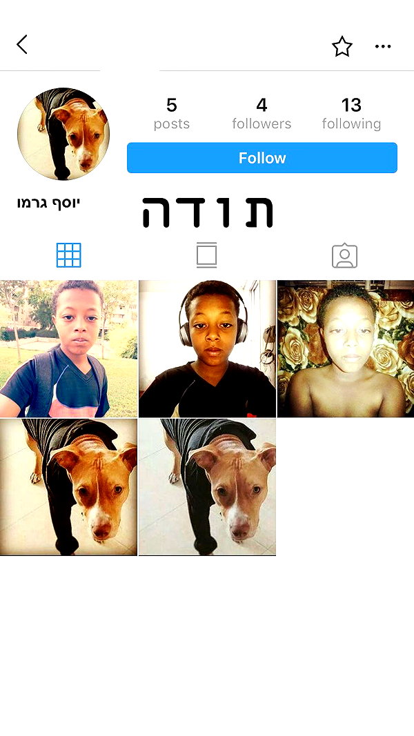 kesemgreenyer instagram image archive image