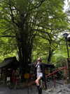 fair_mua Altpins Profile Picture