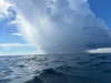 gissell_eli Altpins Profile Picture
