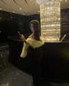 quenhi.phamm Altpins Profile Picture