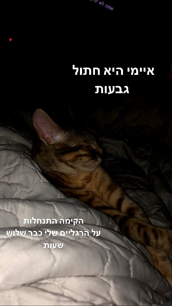 Archived image from @notchicore on Instagram