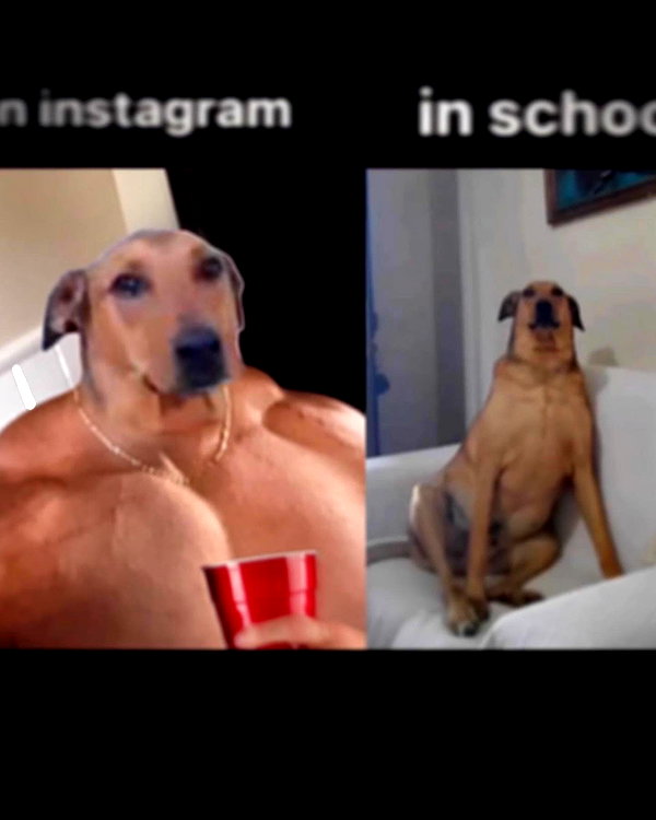 leanbeefpatty instagram image archive image