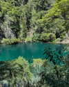 solzarubin_ Altpins Profile Picture