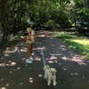 camimendes Altpins Profile Picture