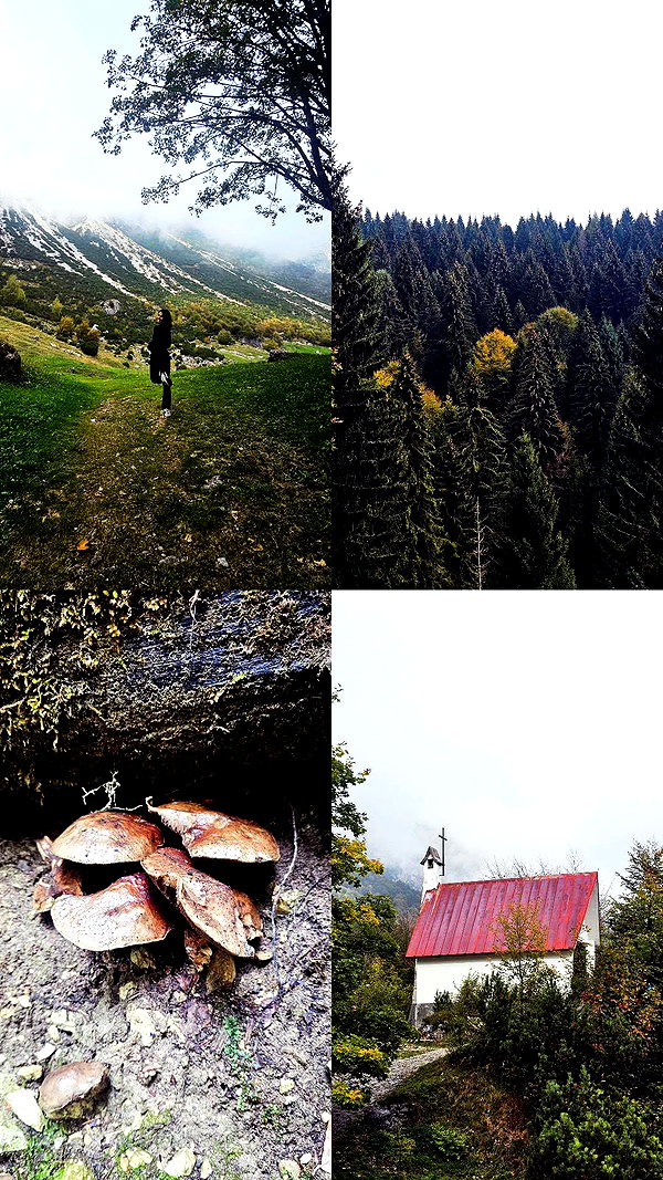 la.vica_ instagram image archive image