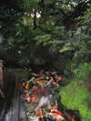 amatveyko Altpins Profile Picture