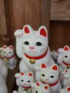 biton__adi Altpins Profile Picture