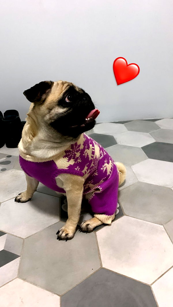 nyiityam instagram image archive image