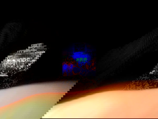 mosssaico mosssaico archive image