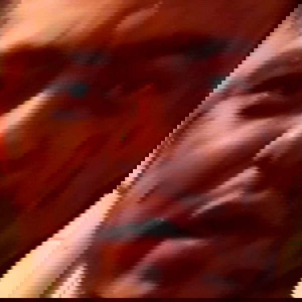 annfigmax image ~ Altpins