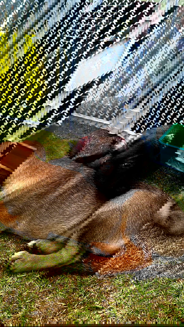 taylor.creeden taylor.creeden archive image