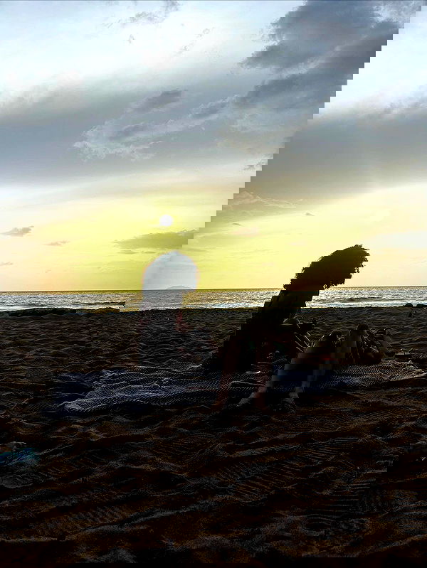 mosssaico mosssaico archive image