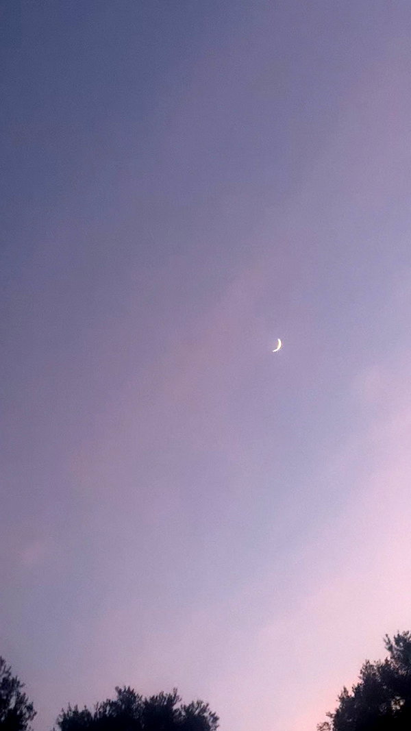 arianagrande instagram image archive image